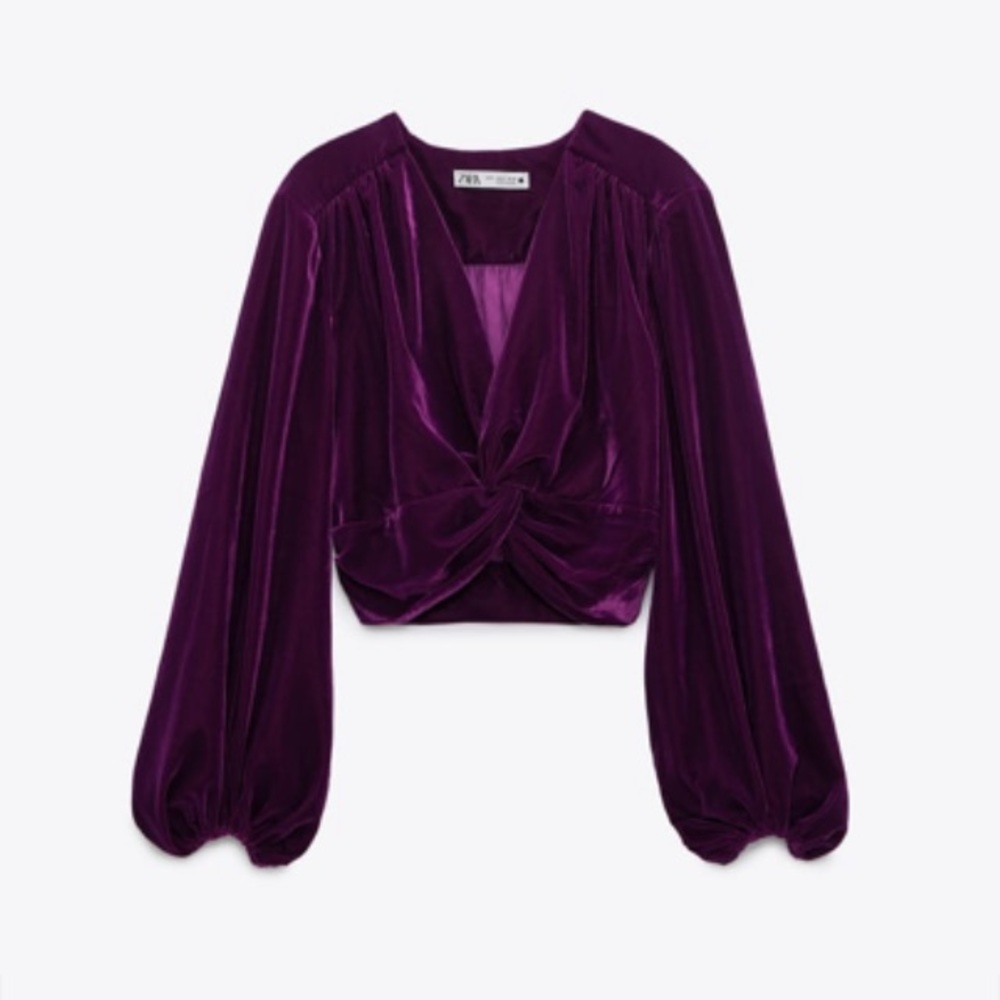 Brand new Zara velvet top